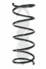 SPIDAN 55285 Coil Spring